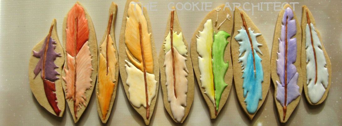 10353261_556353961143533_4307335907242033984_o