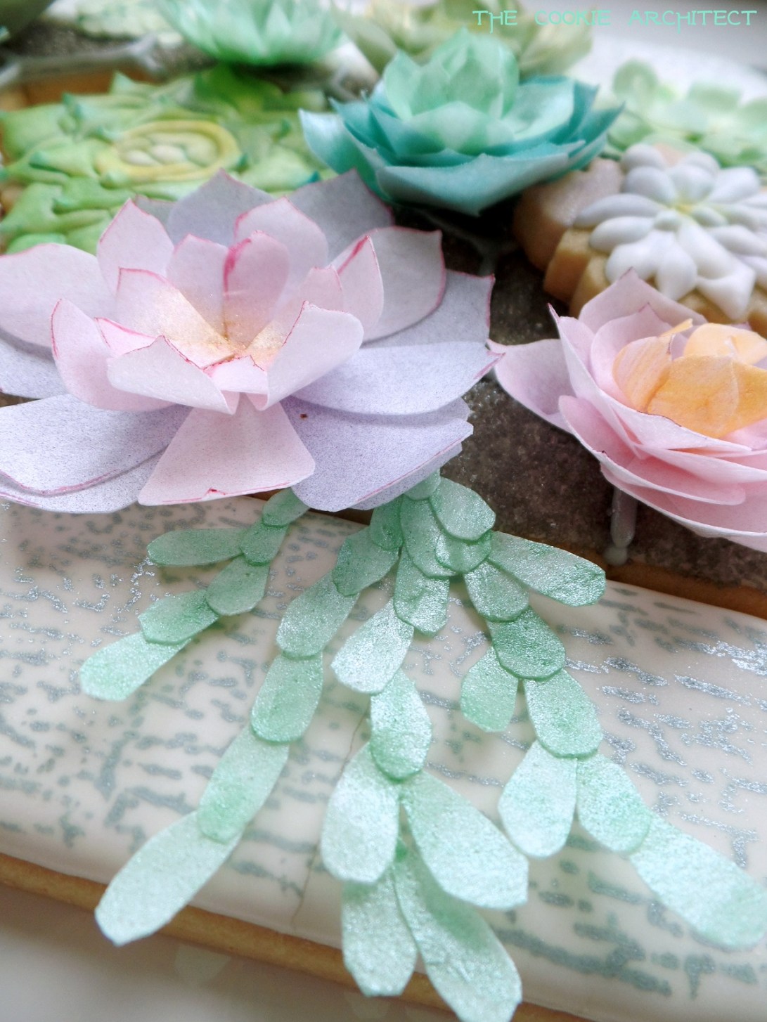 Succulent Detail one | The Cookie Architect