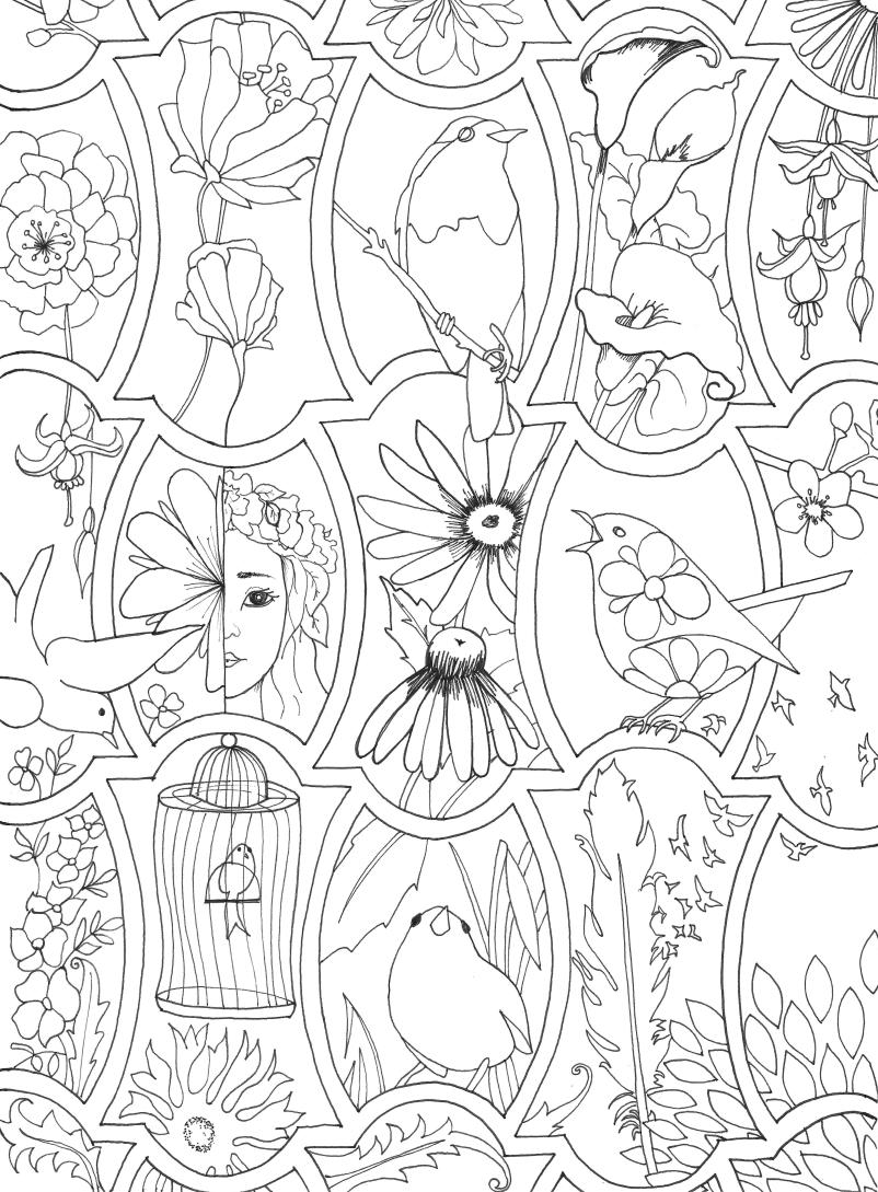 Coloring Page Birds |The Cookie Architect