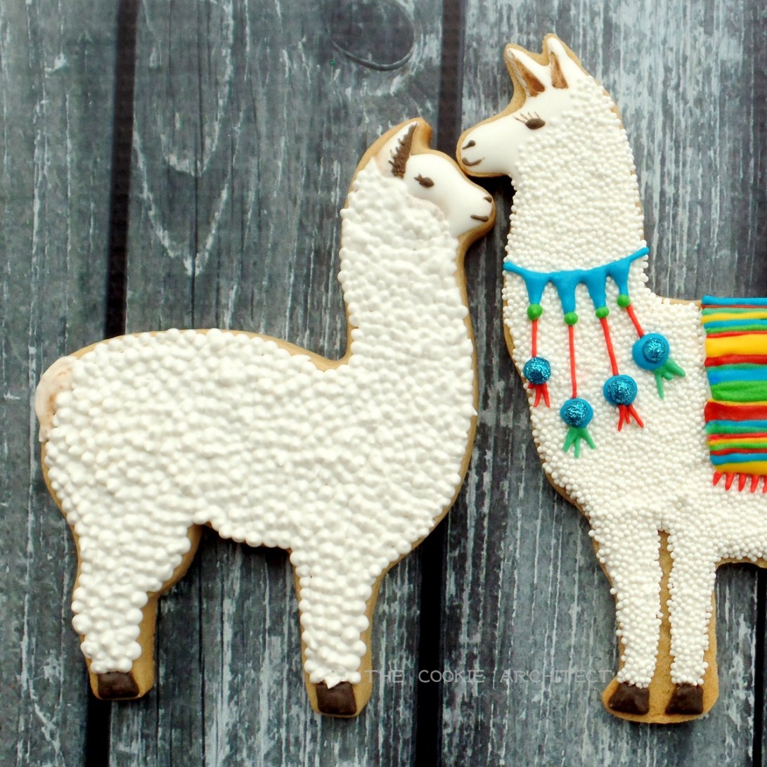 Llama and Alpaca | The Cookie Architect