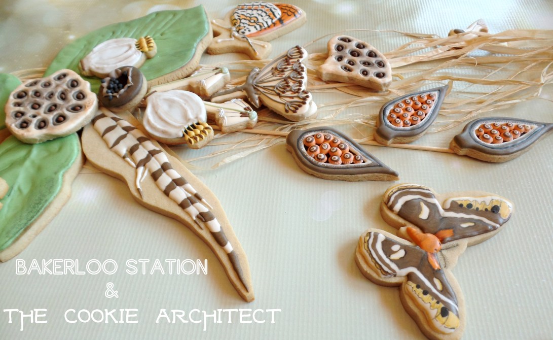 Cycle of Life Collaboration Angle | The Cookie Architect