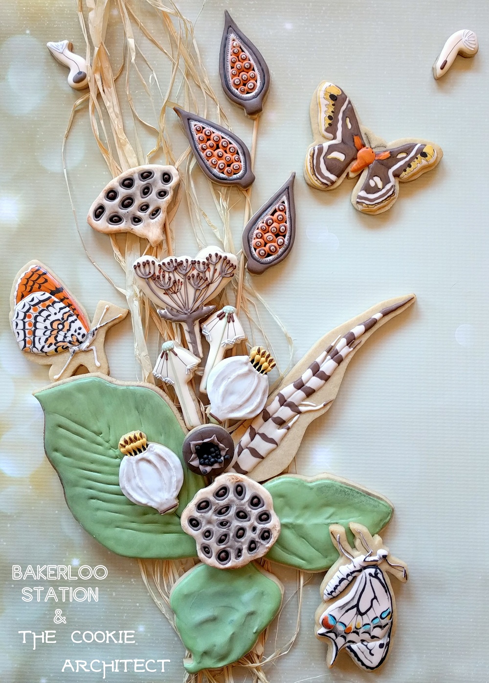 To Seed | The Cookie Architect