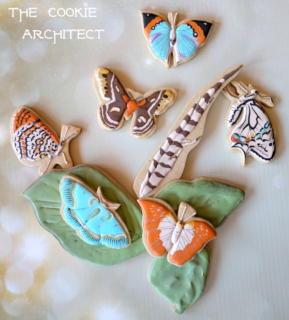 Butterflies and Moths | The Cookie Architect