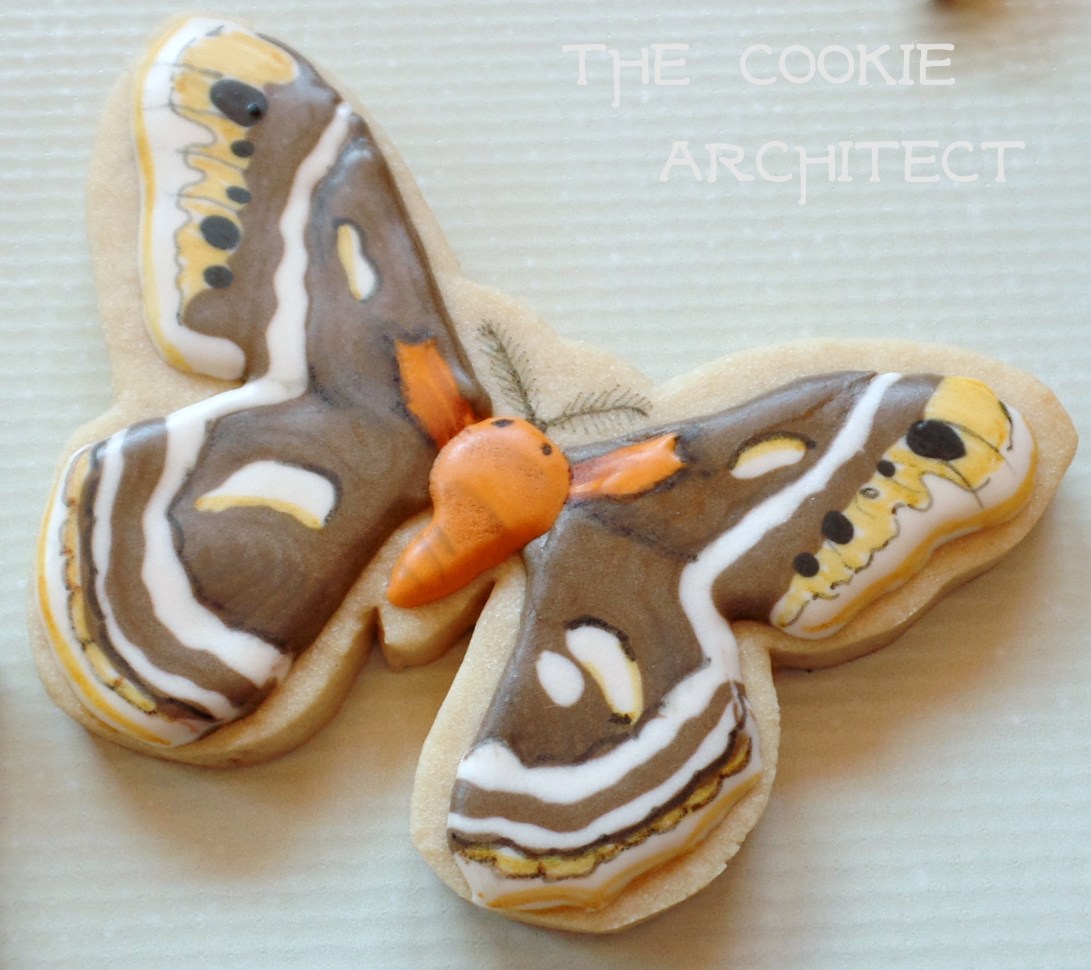 Moth | The Cookie Architect