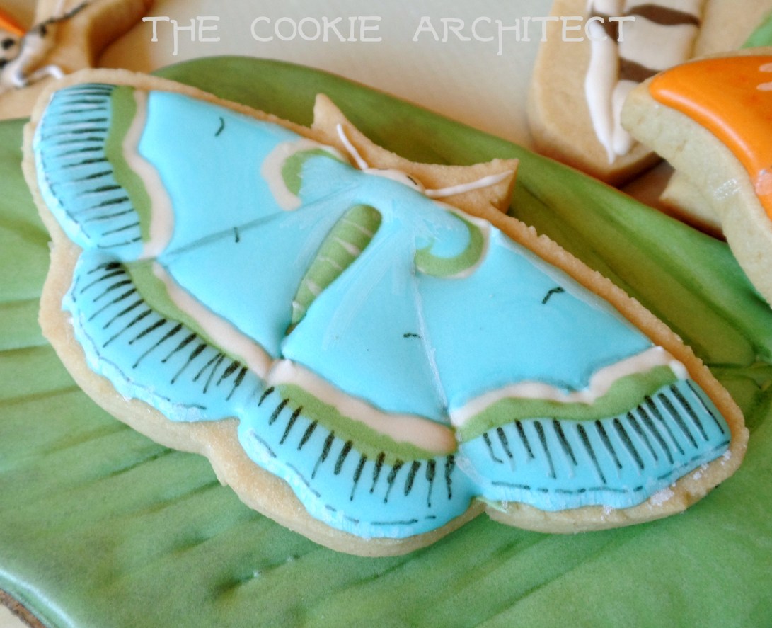 Blue Moths | The Cookie Architect