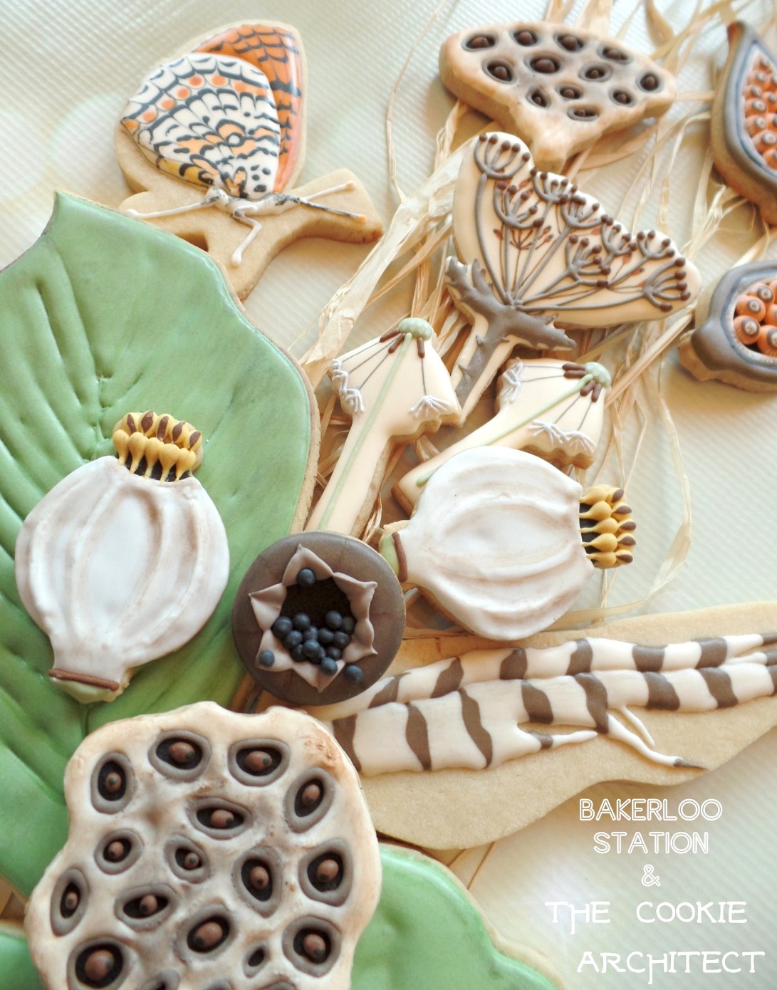 Seed Pods by Bakerloo Station | The Cookie Architect